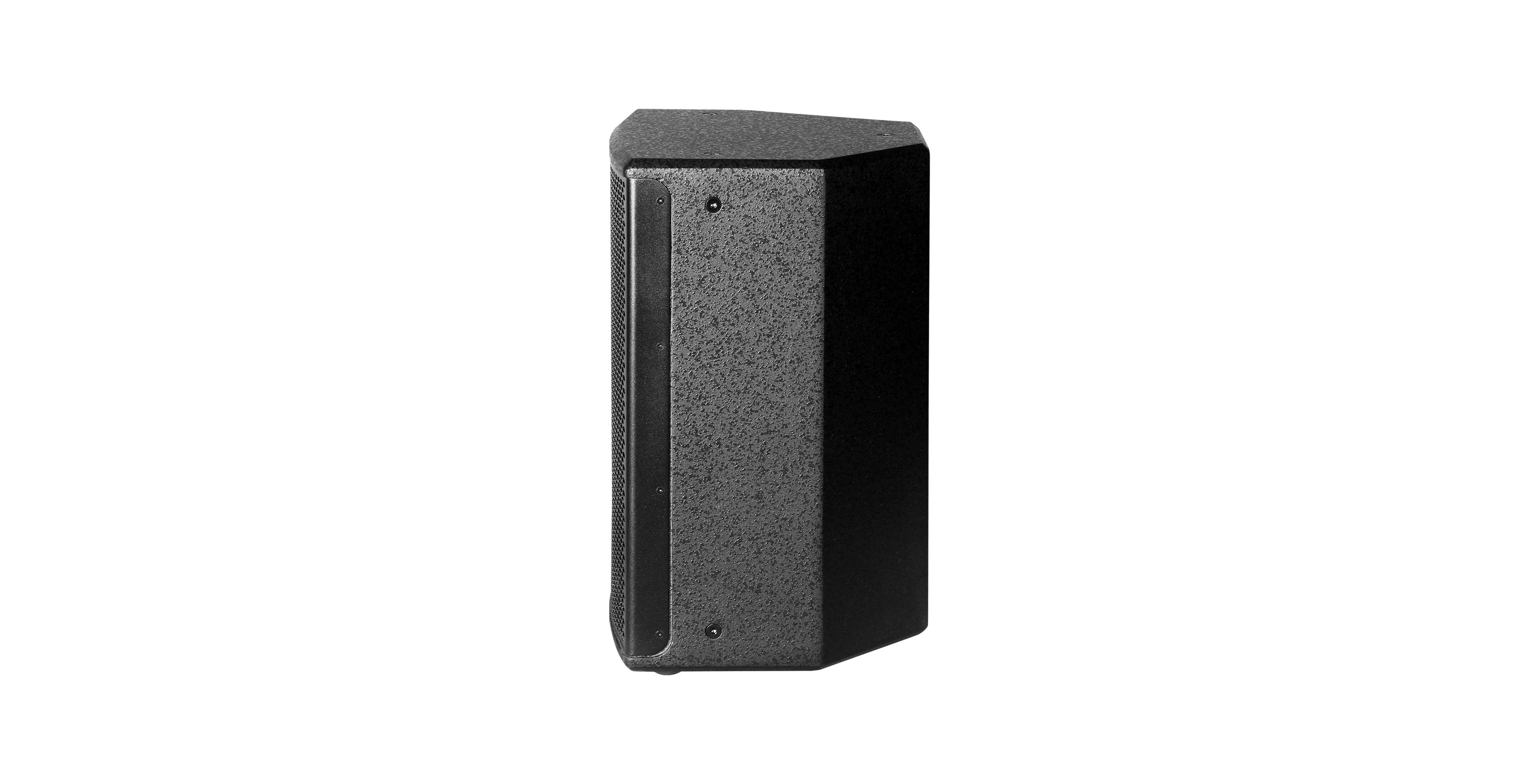 Haut-parleur large bande bidirectionnel U110V 1x10 pouces 250W